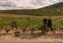 Bodegas Riojanas