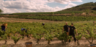 Bodegas Riojanas