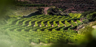 Rioja blinda su potencial productivo