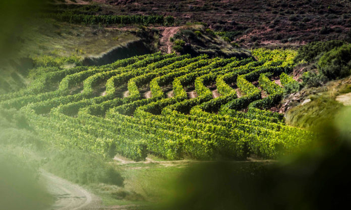 Rioja blinda su potencial productivo