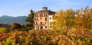 Bodegas medio ambiente