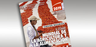 Alimentación saludable y sostenible