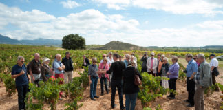 Premios de Enoturismo ‘Rutas del Vino de España’