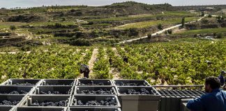 Rioja plan de actuación  Covid-19