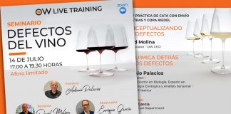 Seminario defectos del vino