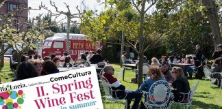 Segunda edición de la Spring Wine Fest