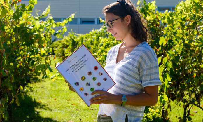 cubiertas vegetales viticultura sostenible
