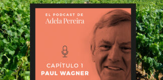 mejorar las experiencias enoturísticas