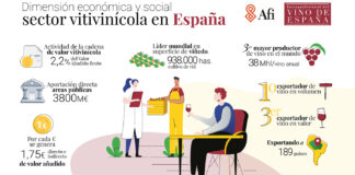 sector vitivinícola en España