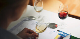 certificación en vino WSET