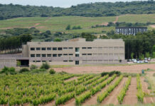 El ICVV avanza como centro de referencia en investigación vitivinícola