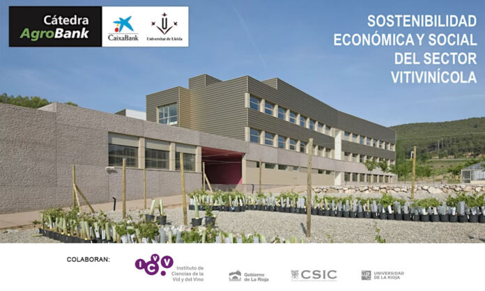 Jornada sostenibilidad económica y social del sector vitivinícola