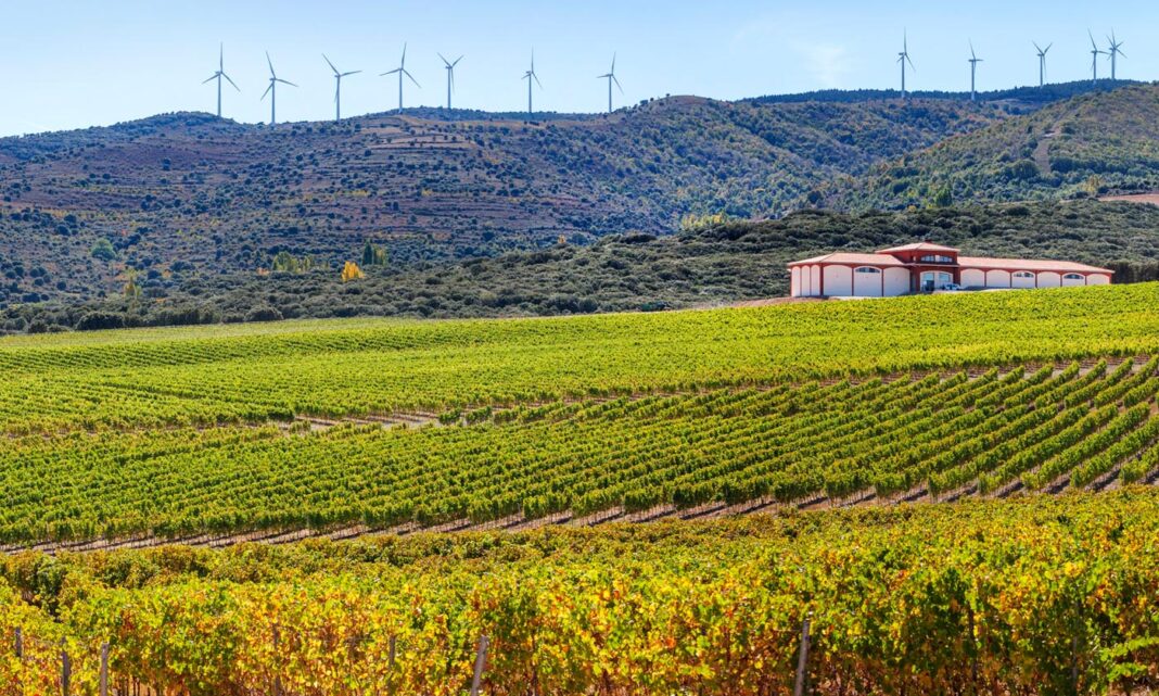 El Coto de Rioja apuesta por la elaboración sostenible de vino - Vino ...