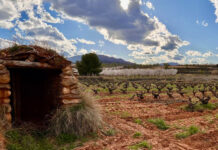 Bodegas Queiron