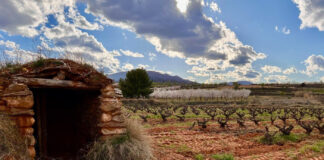 Bodegas Queiron