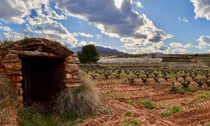 Bodegas Queiron