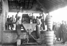 Las claves técnicas que impulsaron la creación de la DO y el liderazgo de Rioja