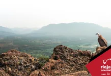 Descubre las actividades de noviembre en la Ruta del Vino Rioja Oriental