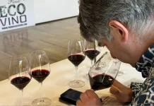 Abierto el plazo de inscripción para los Premios Ecovino 2026