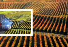 Orisha Agrifood Ibérica impulsa la transformación digital del sector agroalimentario