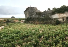 Los pequeños alzan la voz con grandes historias y vinos que enamoran