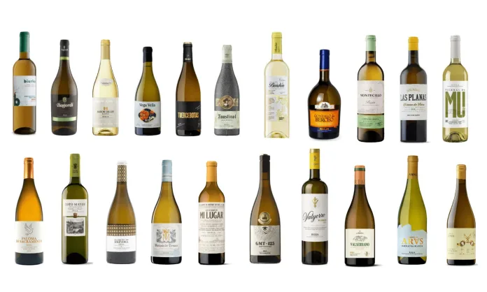 adelanto vinossalón