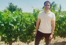 David Gramaje: «No tendremos que esperar a que aparezcan los síntomas para actuar en el viñedo»