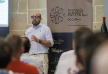 La inteligencia artificial aprende del viñedo de Rioja