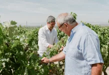 La marca Marqués de la Concordia entra en el portfolio de Muriel Wines