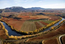 Seis motivos para descubrir Rioja este otoño