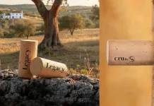 La nueva era del corcho natural: tecnología y precisión al servicio de los grandes vinos de Rioja