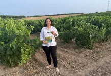 La urea foliar mejora la calidad de la uva de Tempranillo y Tempranillo Blanco frente al cambio climático